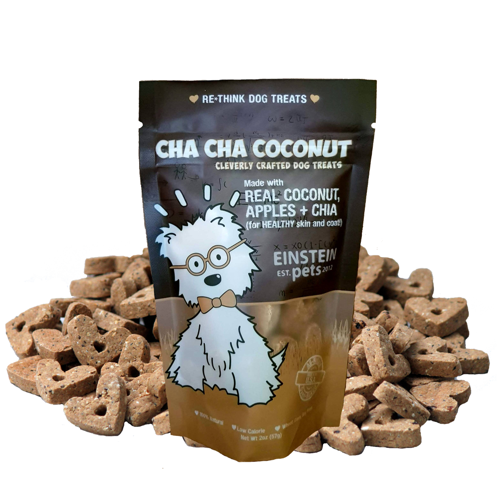 Classics CHA CHA COCONUT EINSTEIN PETS